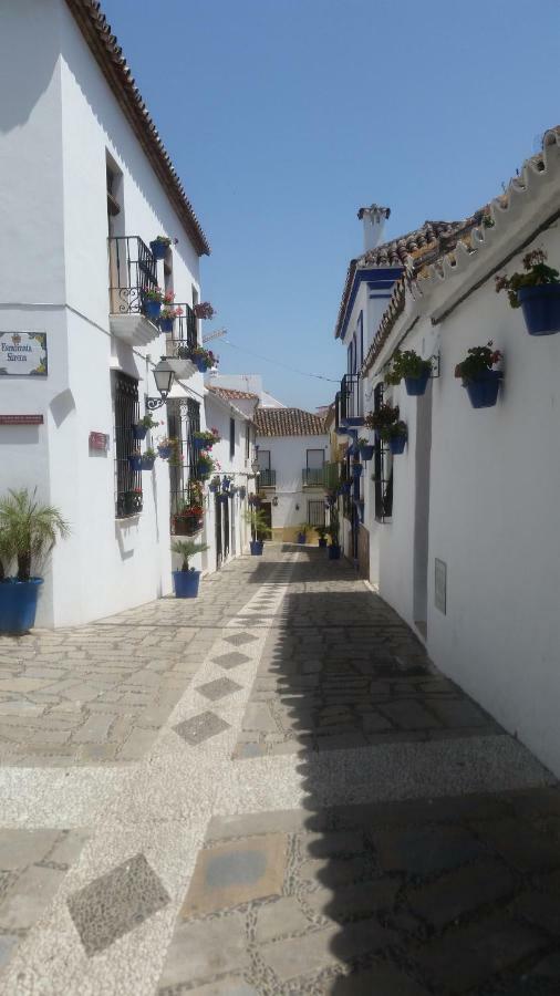 Puerto Deportivo Estepona Kültér fotó